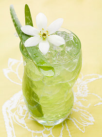 Aloe Vera Juice Recipes journal mark