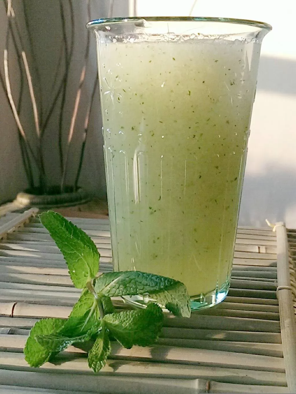 Aloe Vera Juice With Mint